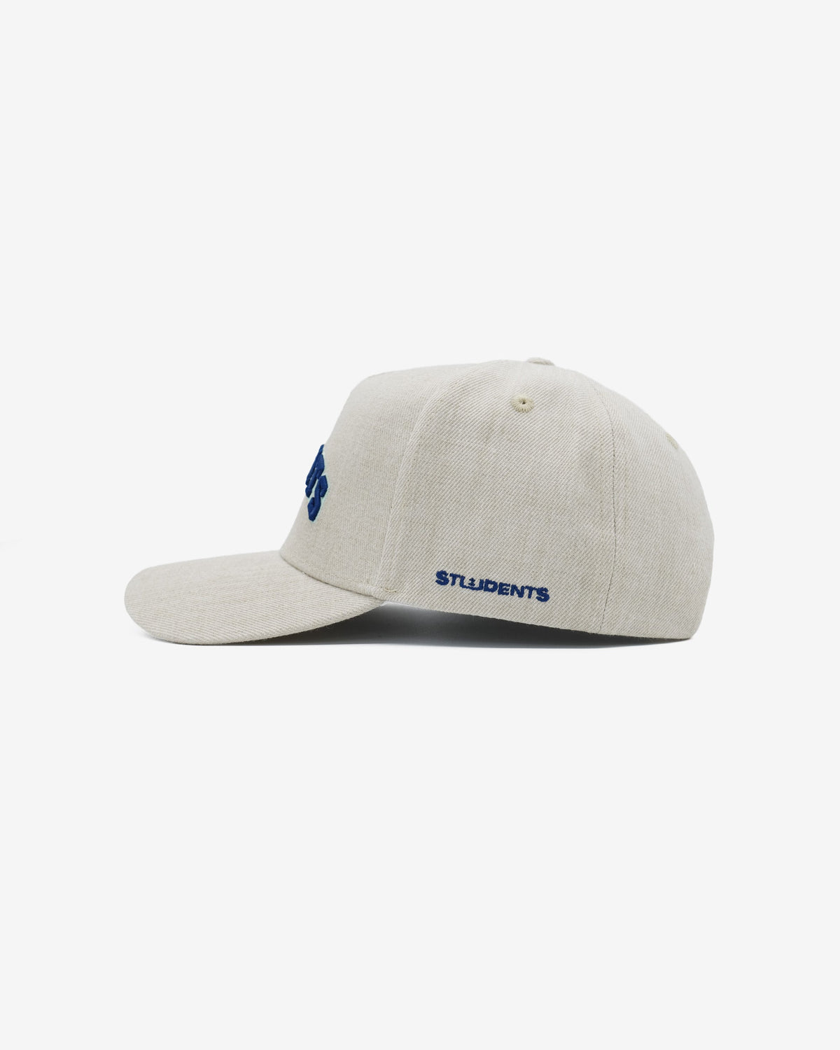 Expert Snap Back Hat